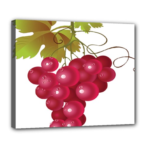 Red Fruit Grape Deluxe Canvas 24  X 20   by Mariart
