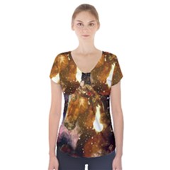 Wonderful Horse In Watercolors Short Sleeve Front Detail Top by FantasyWorld7