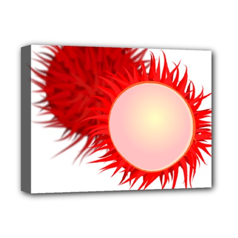 Rambutan Fruit Red Sweet Deluxe Canvas 16  X 12   by Mariart