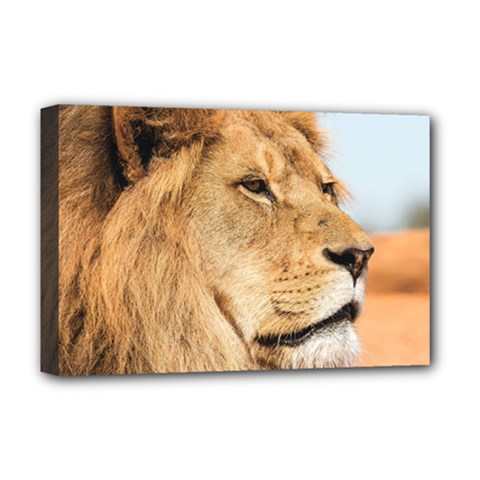 Big Male Lion Looking Right Deluxe Canvas 18  X 12   by Ucco
