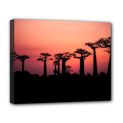 Baobabs Trees Silhouette Landscape Deluxe Canvas 20  X 16   by BangZart
