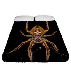 Insect Macro Spider Colombia Fitted Sheet (california King Size) by BangZart