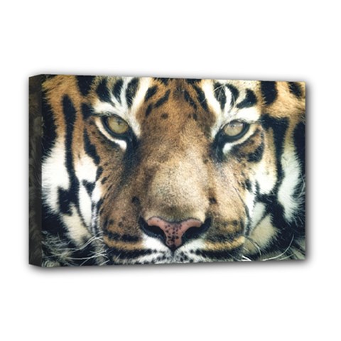 Tiger Bengal Stripes Eyes Close Deluxe Canvas 18  X 12   by BangZart
