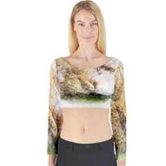 Bear Baby Sitting Art Abstract Long Sleeve Crop Top by Celenk