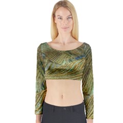 Rice Field China Asia Rice Rural Long Sleeve Crop Top by Celenk
