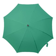 Seafoamy Green Hook Handle Umbrellas (large) by snowwhitegirl
