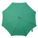 Seafoamy Green Hook Handle Umbrellas (Large) View1