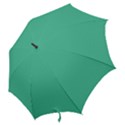 Seafoamy Green Hook Handle Umbrellas (Large) View2