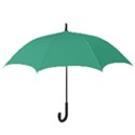 Seafoamy Green Hook Handle Umbrellas (Large) View3