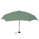 Mossy Green Mini Folding Umbrellas View3