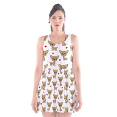Chihuahua Pattern Scoop Neck Skater Dress by Valentinaart