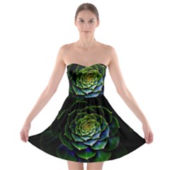 Nature Desktop Flora Color Pattern Strapless Bra Top Dress by Nexatart