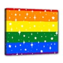 Sparkly Rainbow Flag Deluxe Canvas 24  x 20   View1