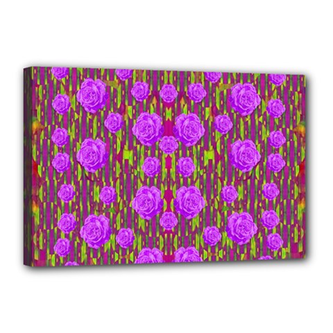 Roses Dancing On A Tulip Field Of Festive Colors Canvas 18  X 12  by pepitasart