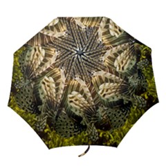 Lionfish 3 Folding Umbrellas by trendistuff