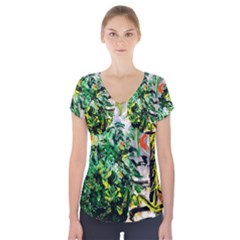 Dscf2188 -- Plant In The Room Short Sleeve Front Detail Top by bestdesignintheworld