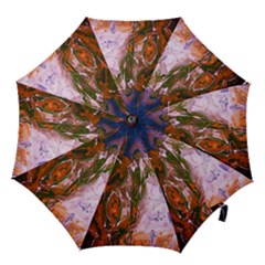 Close To Pinky,s House 12 Hook Handle Umbrellas (medium) by bestdesignintheworld