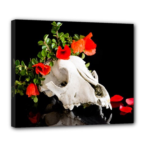 Animal Skull With A Wreath Of Wild Flower Deluxe Canvas 24  X 20  (stretched) by igorsin