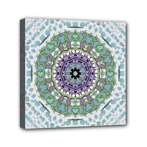 Hearts In A Decorative Star Flower Mandala Mini Canvas 6  X 6  by pepitasart