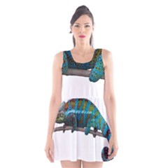 Reptile Lizard Animal Isolated Scoop Neck Skater Dress by Sapixe