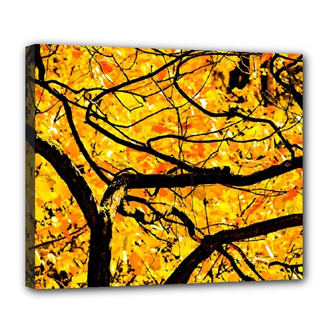 Golden Vein Deluxe Canvas 24  X 20   by FunnyCow