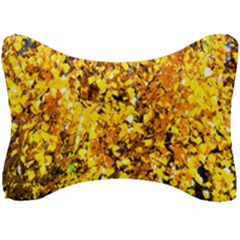Birch Tree Yellow Leaves Seat Head Rest Cushion by FunnyCow