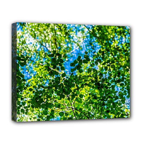 Forest   Strain Towards The Light Deluxe Canvas 20  X 16   by FunnyCow