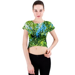 Forest   Strain Towards The Light Crew Neck Crop Top by FunnyCow