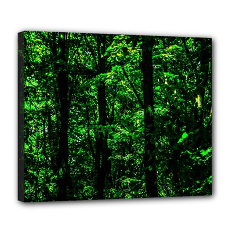 Emerald Forest Deluxe Canvas 24  X 20   by FunnyCow