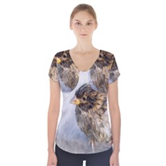 Funny Wet Sparrow Bird Short Sleeve Front Detail Top by FunnyCow