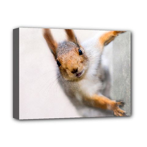 Curious Squirrel Deluxe Canvas 16  X 12   by FunnyCow
