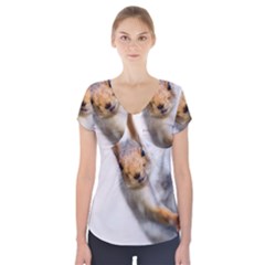 Curious Squirrel Short Sleeve Front Detail Top by FunnyCow