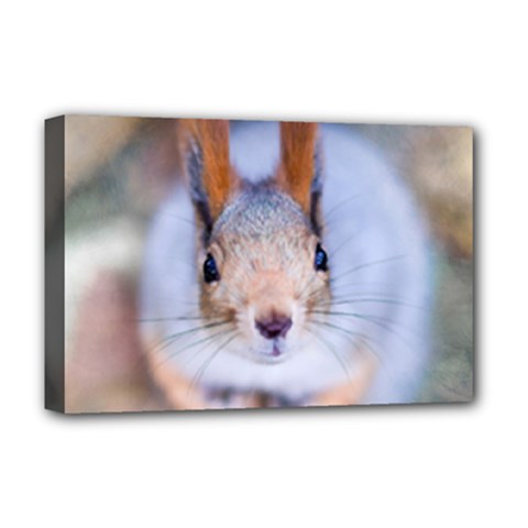 Squirrel Looks At You Deluxe Canvas 18  X 12   by FunnyCow