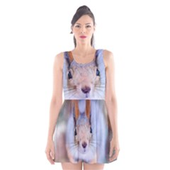 Squirrel Looks At You Scoop Neck Skater Dress by FunnyCow