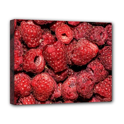 Red Raspberries Deluxe Canvas 20  X 16   by FunnyCow