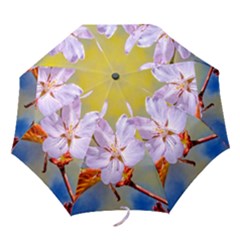 Sakura Flowers On Yellow Folding Umbrellas by FunnyCow
