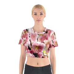 Blooming Almond At Sunset Cotton Crop Top by FunnyCow