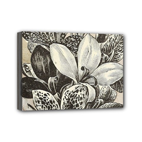 Flowers 1776382 1280 Mini Canvas 7  X 5  (stretched) by vintage2030