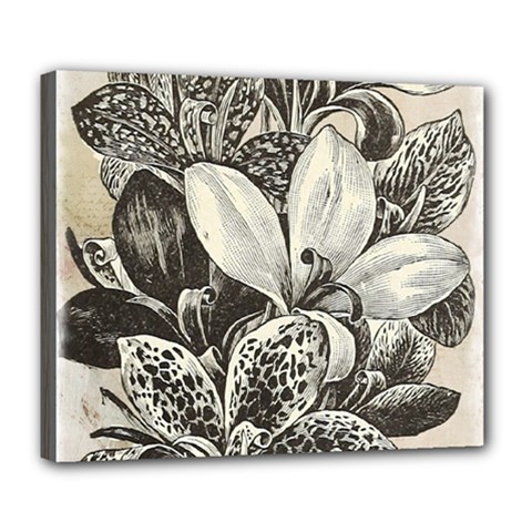 Flowers 1776382 1280 Deluxe Canvas 24  X 20  (stretched) by vintage2030