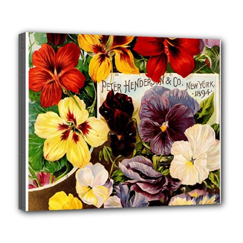 Flowers 1776534 1920 Deluxe Canvas 24  X 20  (stretched) by vintage2030