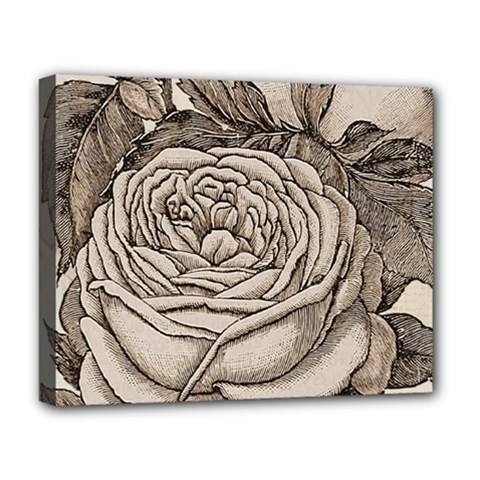 Flowers 1776630 1920 Deluxe Canvas 20  X 16  (stretched) by vintage2030