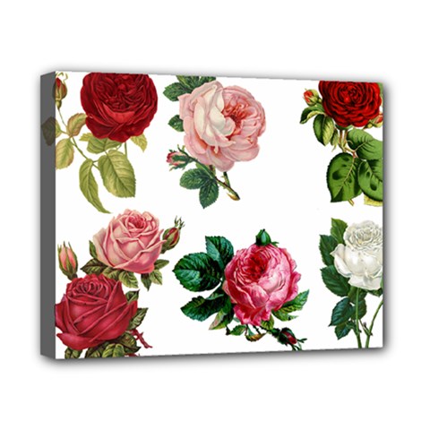 Roses 1770165 1920 Canvas 10  X 8  (stretched) by vintage2030