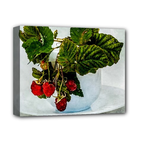 Red Raspberries In A Teacup Deluxe Canvas 14  X 11  (stretched) by FunnyCow