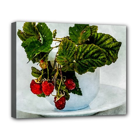 Red Raspberries In A Teacup Deluxe Canvas 20  X 16  (stretched) by FunnyCow