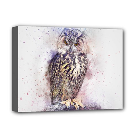 Bird 2552769 1920 Deluxe Canvas 16  X 12  (stretched)  by vintage2030