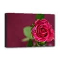 Rose 693152 1920 Deluxe Canvas 18  x 12  (Stretched) View1