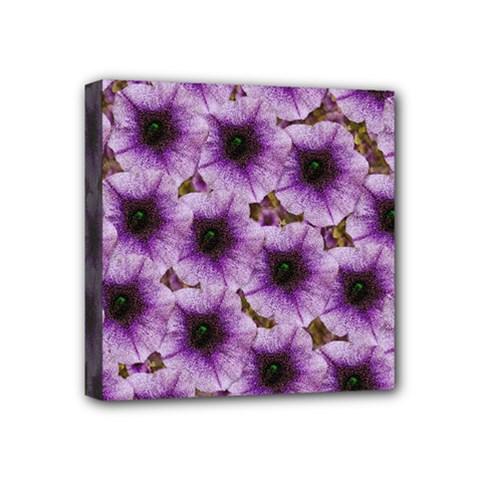 The Sky Is Not The Limit For Beautiful Big Flowers Mini Canvas 4  X 4  (stretched) by pepitasart