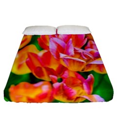Blushing Tulip Flowers Fitted Sheet (queen Size) by FunnyCow