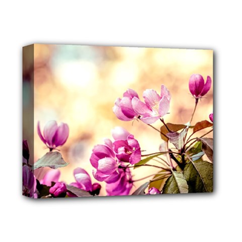 Paradise Apple Blossoms Deluxe Canvas 14  X 11  (stretched) by FunnyCow