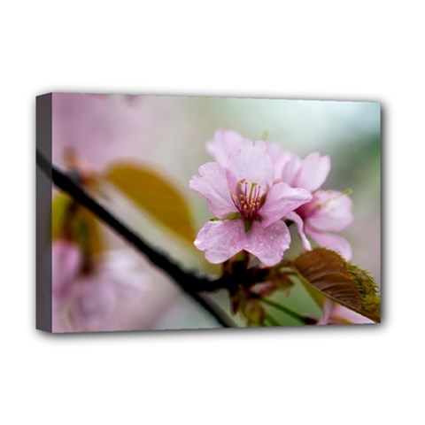 Soft Rains Of Spring Deluxe Canvas 18  X 12  (stretched) by FunnyCow